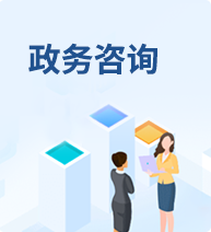 政务咨询